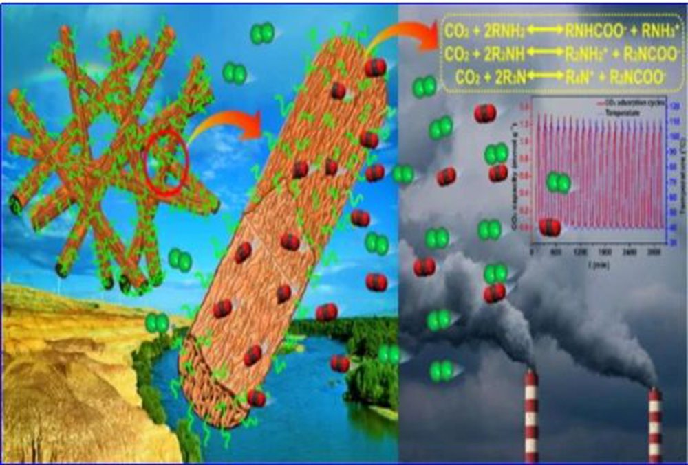 Membran ve CO2 arasındaki ilişki